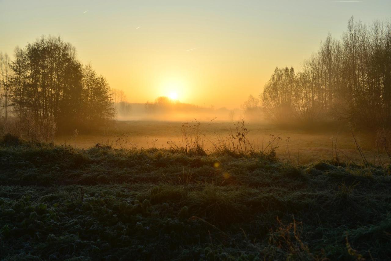 7Viridis Villa Dendermonde Exteriör bild