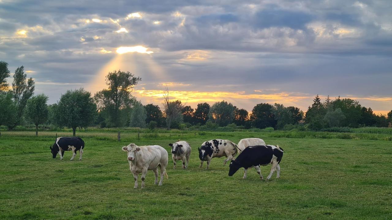 7Viridis Villa Dendermonde Exteriör bild